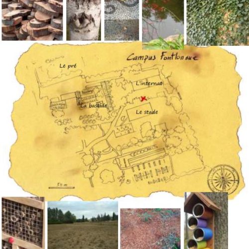 carte_au_tresor carte_au_tresor