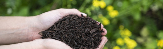 Déchets alimentaires : Vive le compost